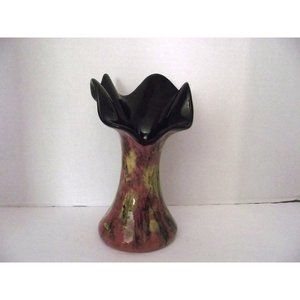 Jack in the Pulpit it is Black inside Pink, Black and Muted Yellows on Exterior